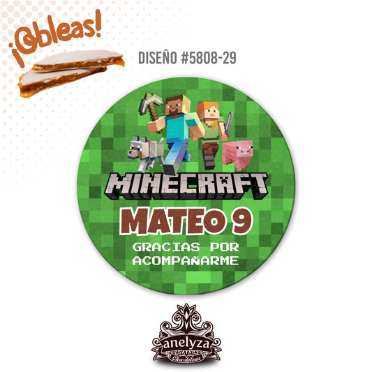 OBLEAS RELLENAS PERSONALIZADAS DISEÑO #5808-29 MINECRAFT FIESTAS INFANTILES